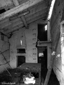 DSCF3305 - Copia - Copia