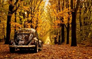 autumn-volkswagen-beetle-wallpaper